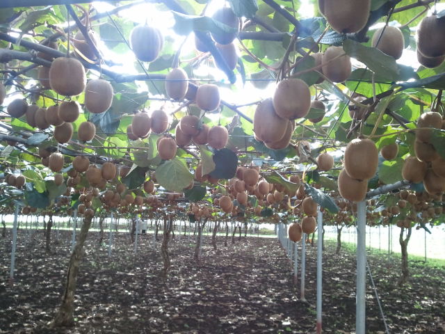 강소농 컨설팅 현장